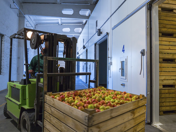 Refrigeración para el sector hortofrutícola - COP Refrigeración